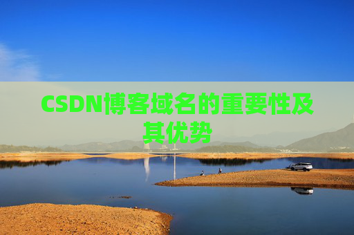 CSDN博客域名的重要性及其优势